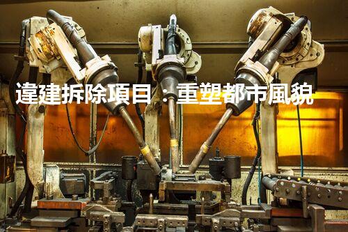 違建拆除項目：重塑都市風貌，共建和諧家園